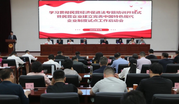 天通控股股份有限公司總裁潘正強在民營企業建立完善中國特色現代制度試點工作啟動會上交流發言